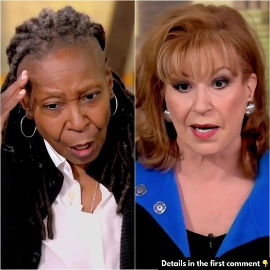 Joy Behar and Whoopi Goldberg Exit The View: ABC Ends Contracts Over ‘Toxic’ Reputation