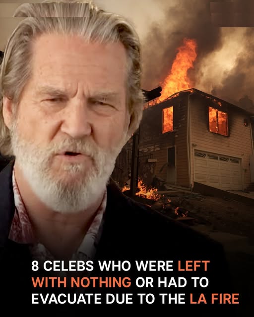 8 Celebs Who Lost Their Homes or Had to Evacuate amid Los Angeles Wildfires