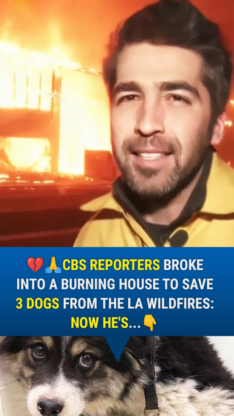 CBS News Team Breaks Into a Burning House to Save 3 Dogs from LA Wildfires