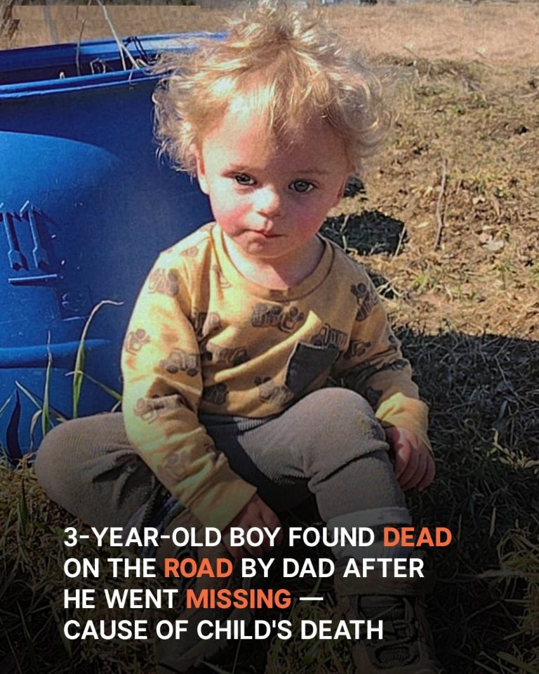 Maine Boy, 3, Found Dead in the Snow by Dad After He Was Reported Missing — Details