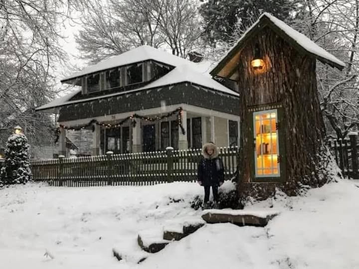 Woman Transforms Rotting Tree In Her Yard Into Charming Neighborhood Library