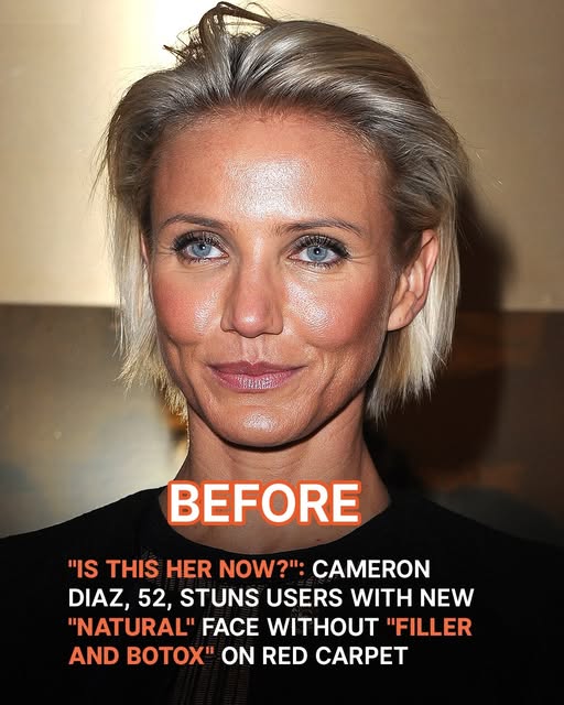 ‘Is This Her Now?’: Cameron Diaz, 52, Stuns Users with ‘Natural’ Face in ‘Back in Action’ Premiere