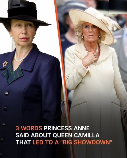 Three Words Princess Anne Said About Camilla Becoming Queen — How Has Their Relationship Evolved?